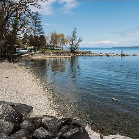 A 6 Mns De La Station De Ski Crozet, Proche Geneve Chevry  Экстерьер фото